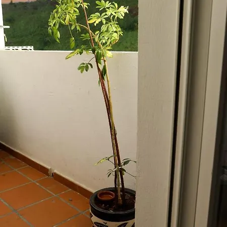Appartamento Casa Mj Béjar Esterno foto